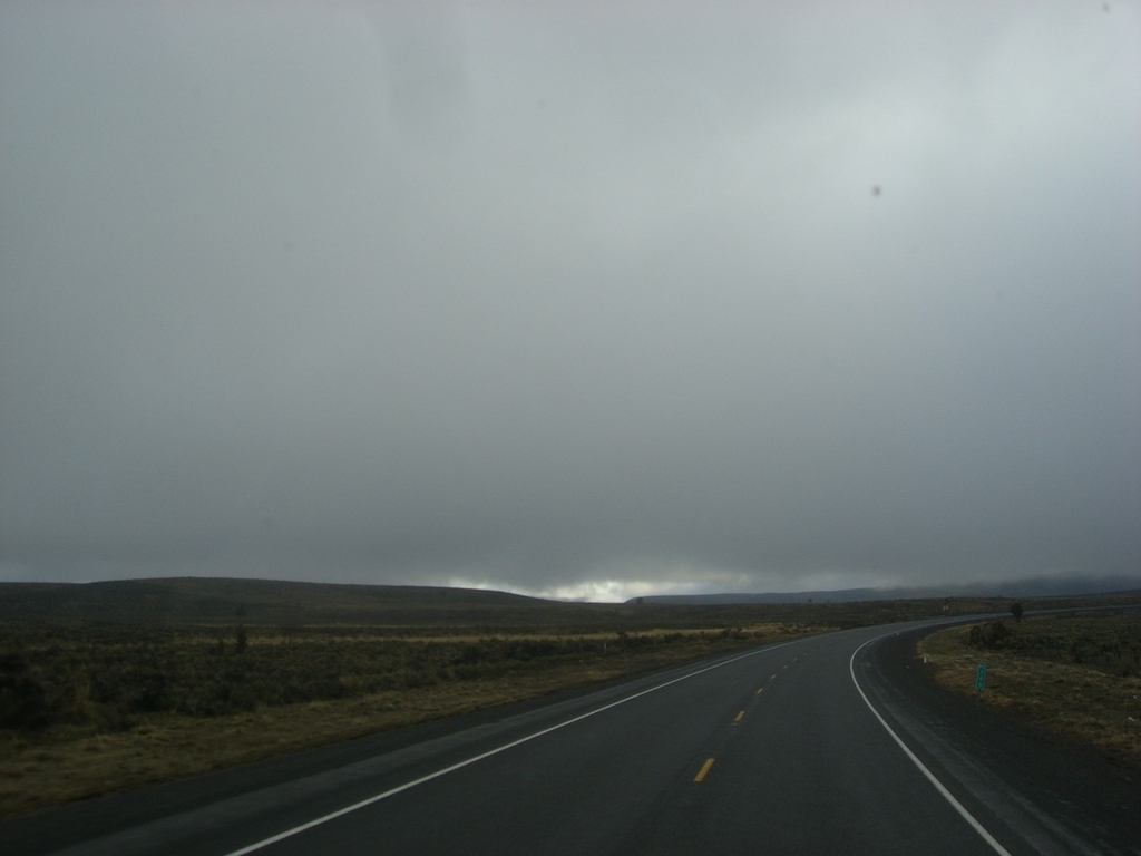 FILE175 Trips