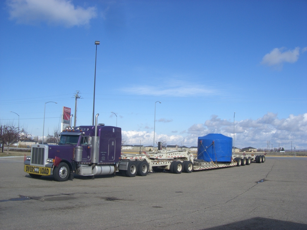 FILE269 Trips