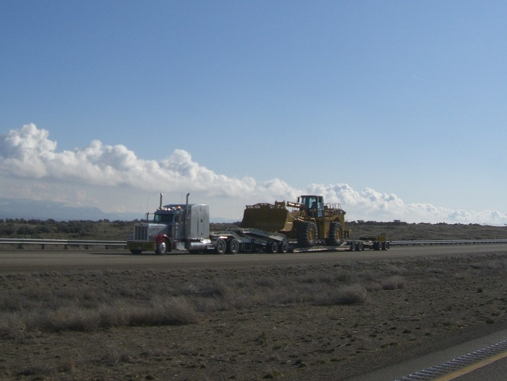 FILE265 Trips