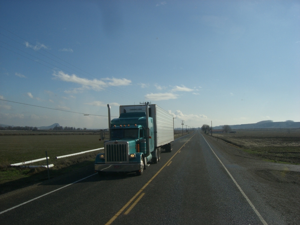 FILE251 Trips