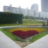 P1160773 - Korea