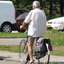 P1160607b - diverse