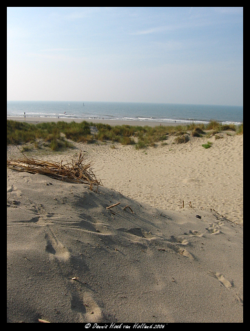 Strand Nature calls