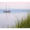 Sail and Grass - Comox Valley