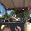 P1060663 - David Cook - Busch Gardens - 08-07-2010