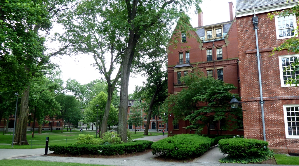 Harvard 01 - 