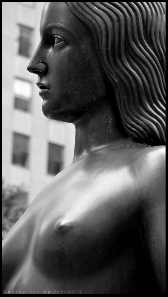 BlackAndWhiteStatue2 - 