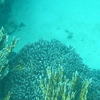 P1050411 - Rode Zee