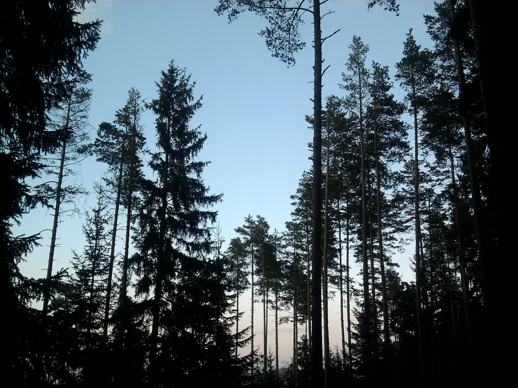 2010-08-15 19.27.17 - 