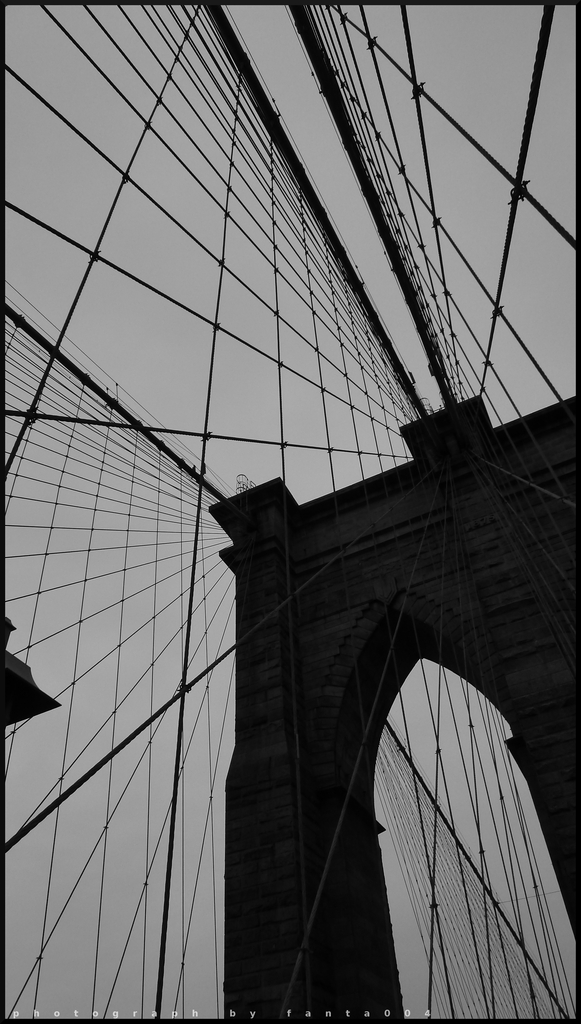 brooklyn bridge inspiration1 - 