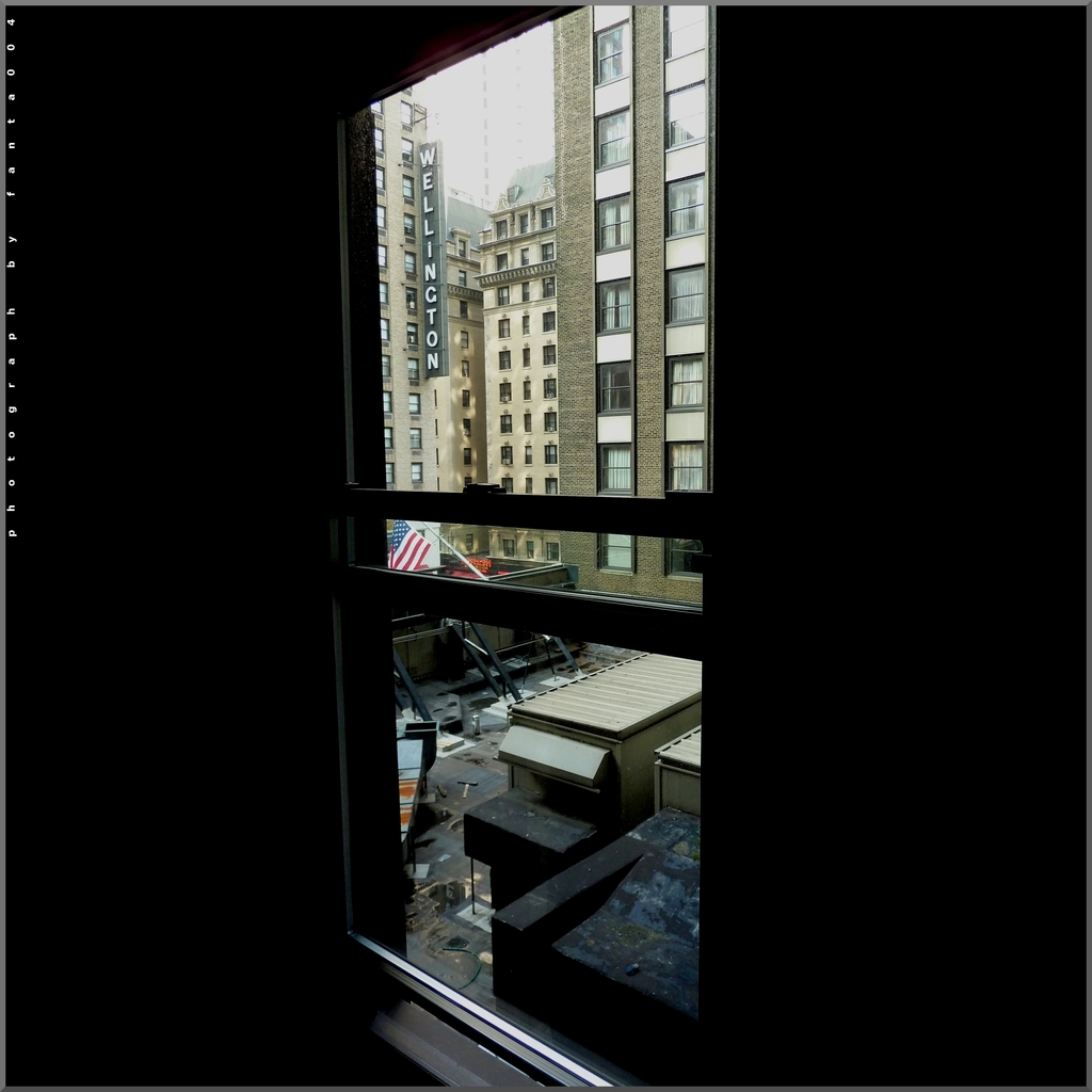 The window01 - 