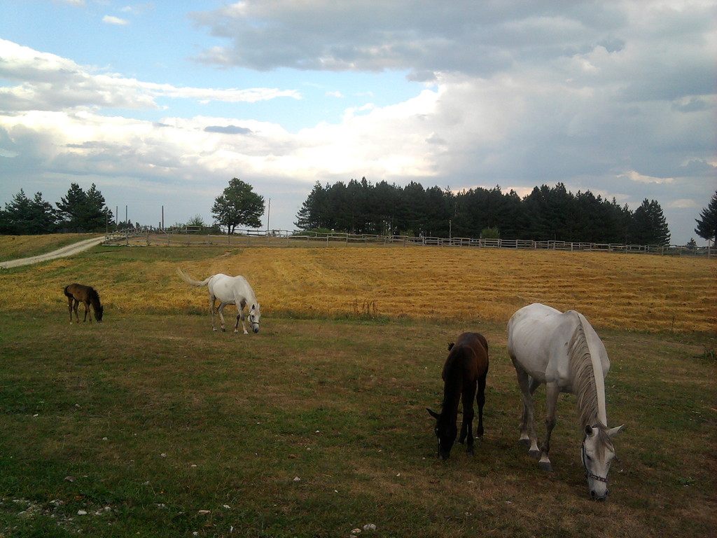 2010-08-30 17.48.55 - 