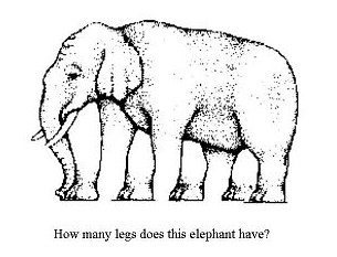 illusion elephant - 