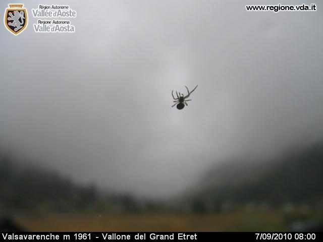 valsavarenche 20100907 - 