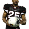 Cardinals' Kerry Rhodes - 5... - NFL Players render cuts!