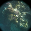 afbeeldingen brayka bay 1 414 - seascapes