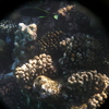 afbeeldingen brayka bay 1 405 - seascapes