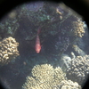 afbeeldingen brayka bay 1 404 - seascapes