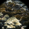 afbeeldingen brayka bay 1 402 - seascapes