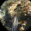 afbeeldingen brayka bay 1 305 - seascapes