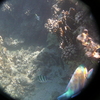 afbeeldingen brayka bay 1 318 - seascapes