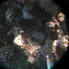 afbeeldingen brayka bay 1 321 - seascapes