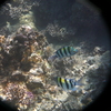 afbeeldingen brayka bay 1 323 - seascapes