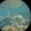 afbeeldingen brayka bay 1 329 - seascapes