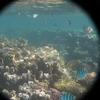 afbeeldingen brayka bay 1 330 - seascapes