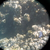 afbeeldingen brayka bay 1 331 - seascapes
