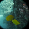 afbeeldingen brayka bay 1 333 - seascapes