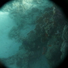 afbeeldingen brayka bay 1 334 - seascapes