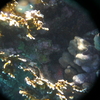 afbeeldingen brayka bay 1 336 - seascapes