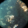 afbeeldingen brayka bay 1 339 - seascapes