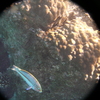 afbeeldingen brayka bay 1 340 - seascapes