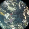 afbeeldingen brayka bay 1 345 - seascapes