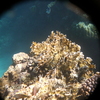 afbeeldingen brayka bay 1 350 - seascapes