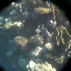 afbeeldingen brayka bay 1 353 - seascapes