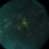 afbeeldingen brayka bay 1 355 - seascapes