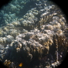 afbeeldingen brayka bay 1 358 - seascapes