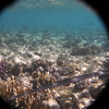 afbeeldingen brayka bay 1 361 - seascapes