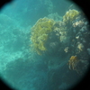 afbeeldingen brayka bay 1 363 - seascapes
