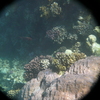 afbeeldingen brayka bay 1 366 - seascapes