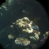 afbeeldingen brayka bay 1 367 - seascapes