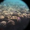 afbeeldingen brayka bay 1 368 - seascapes
