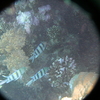 afbeeldingen brayka bay 1 375 - seascapes