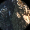 afbeeldingen brayka bay 1 380 - seascapes