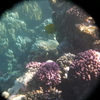 afbeeldingen brayka bay 1 382 - seascapes