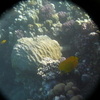 afbeeldingen brayka bay 1 385 - seascapes
