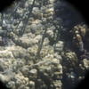 afbeeldingen brayka bay 1 388 - seascapes